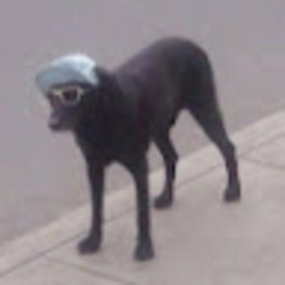 Meet your Posher, Erika